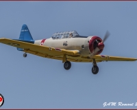 TSR Watermark - 0439